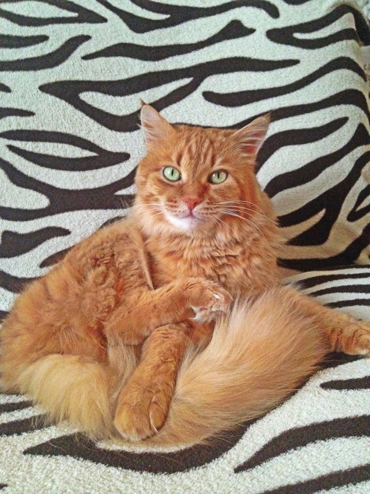 Спасибо вам