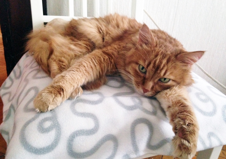 Запись от 02.03.2017