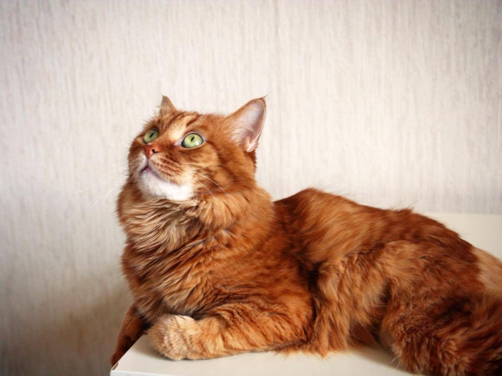 Запись от 05.06.2017