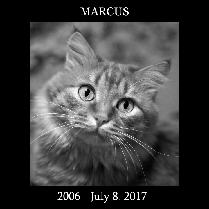 Запись от 14.07.2017