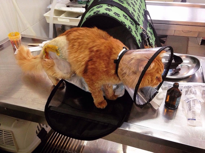 Запись от 10.03.2017