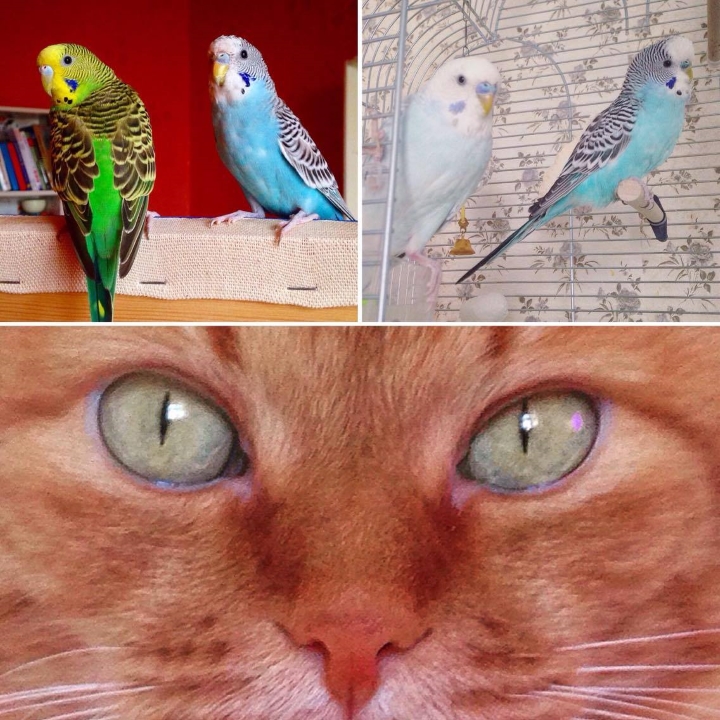 Запись от 11.04.2017