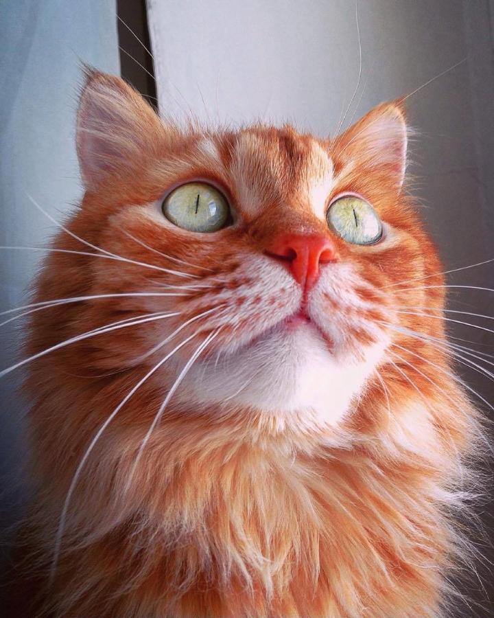 Запись от 15.03.2017