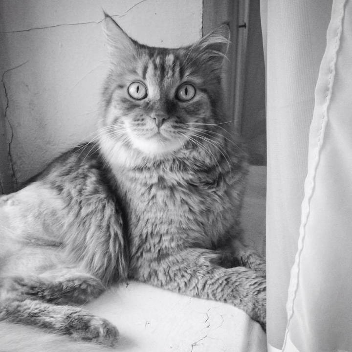 Запись от 19.03.2017