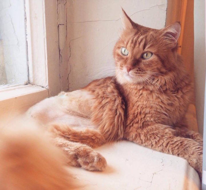 Запись от 20.03.2017