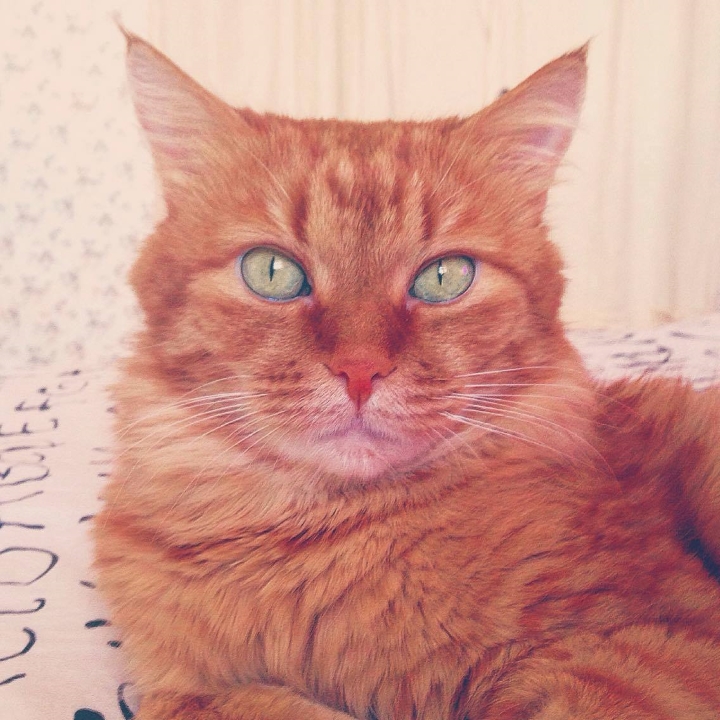 Запись от 23.04.2017