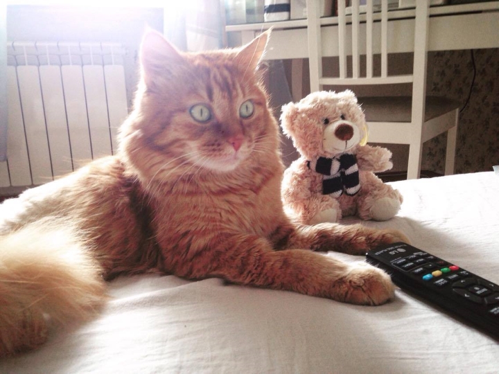 Запись от 31.03.2017